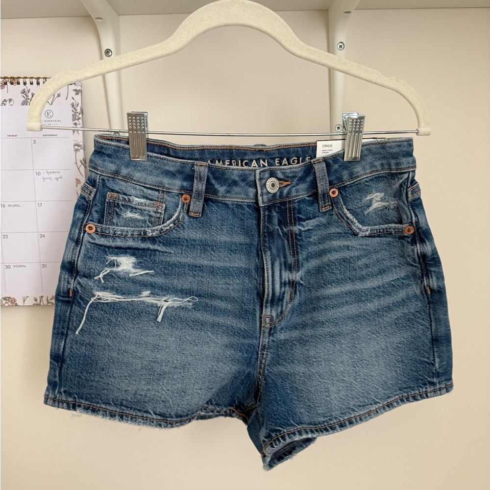 American Eagle Outfitters Strigid Ripped Mom Short